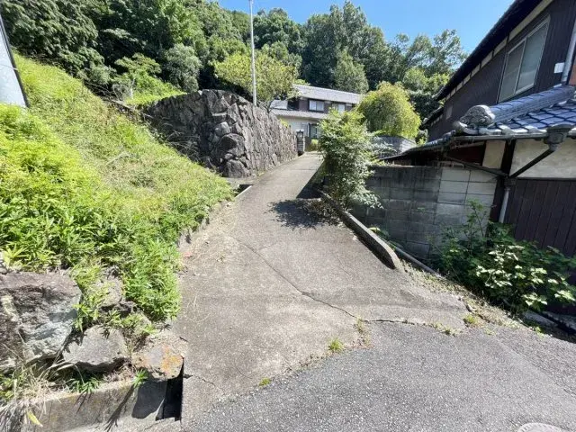 Slide 8