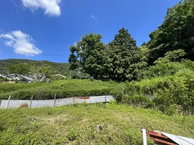 Slide 9