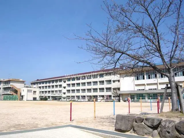 Slide 4