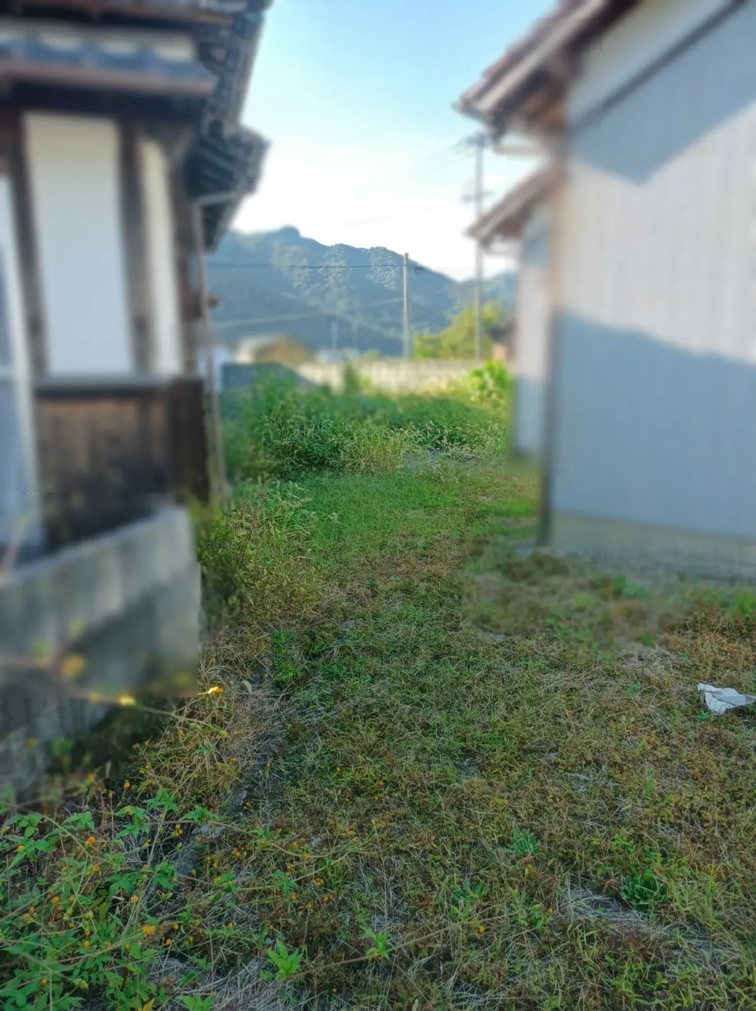Slide 7