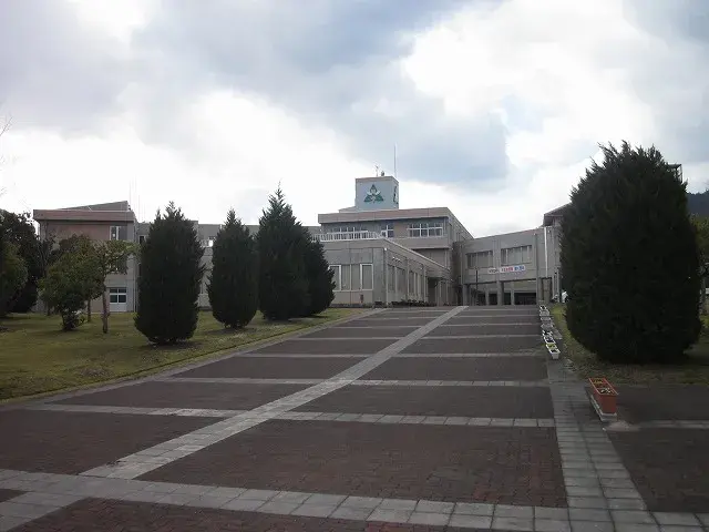 Slide 17