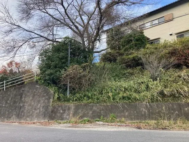 Slide 3
