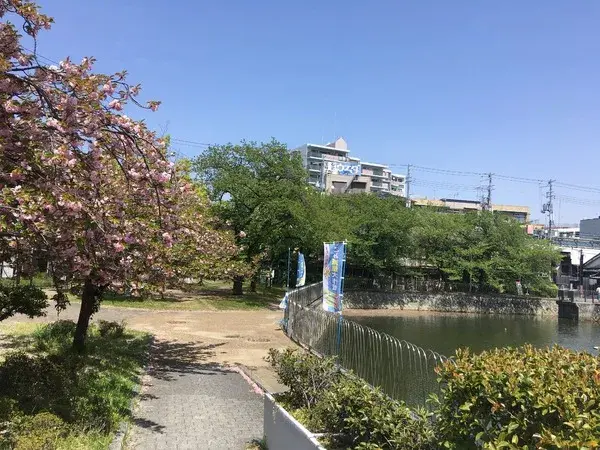 Slide 10