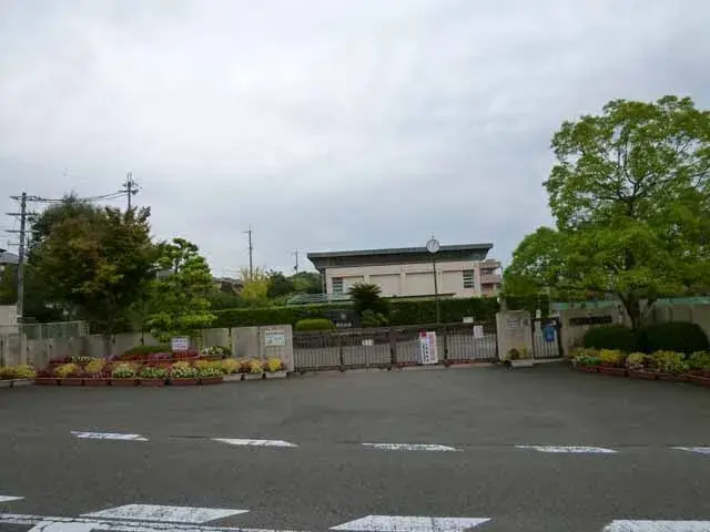 Slide 19