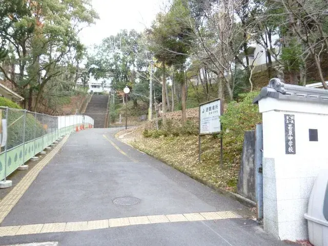 Slide 1