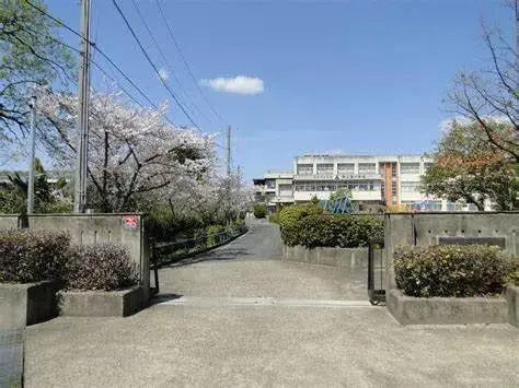 Slide 4