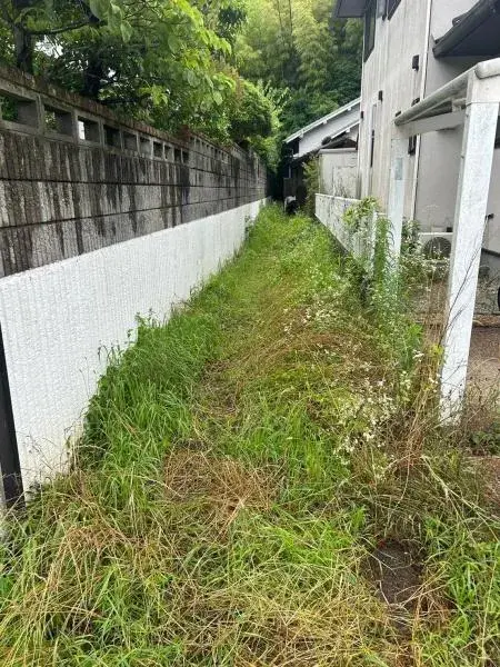 Slide 0