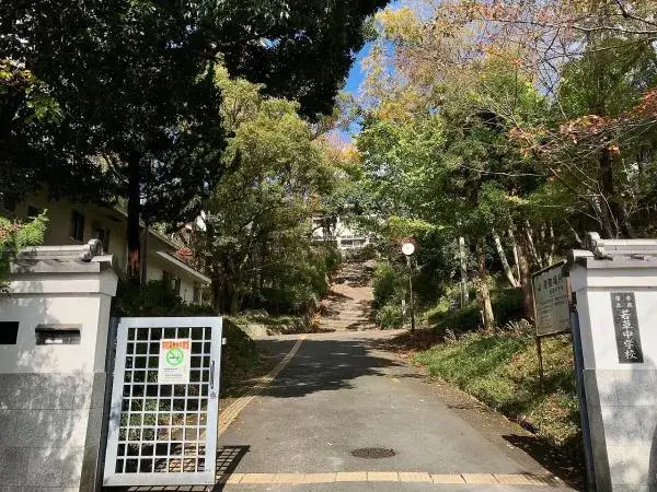 Slide 10