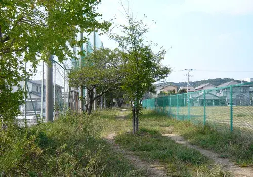 Slide 2