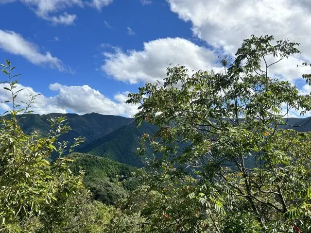 Slide 8