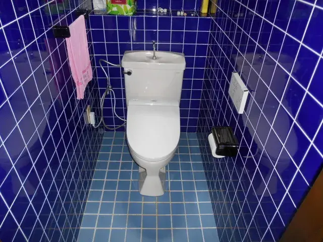 Slide 10