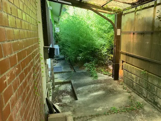 Slide 8