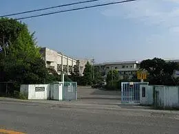 Slide 8