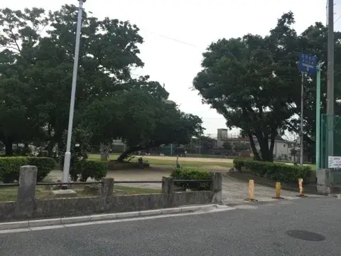 Slide 6