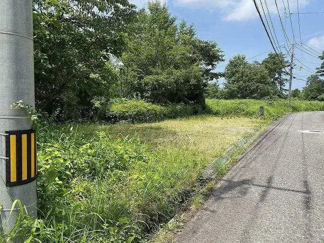 Slide 5