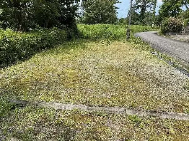 Slide 6