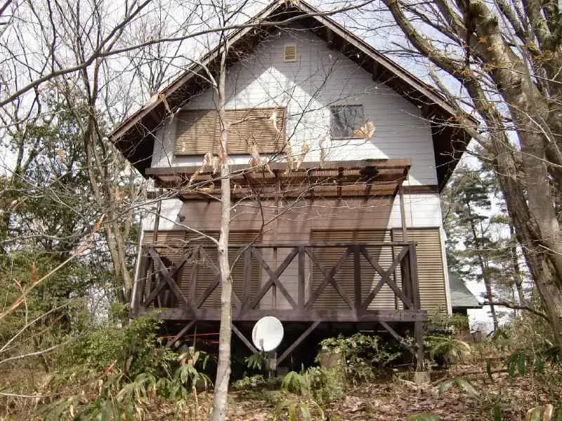 Slide 6