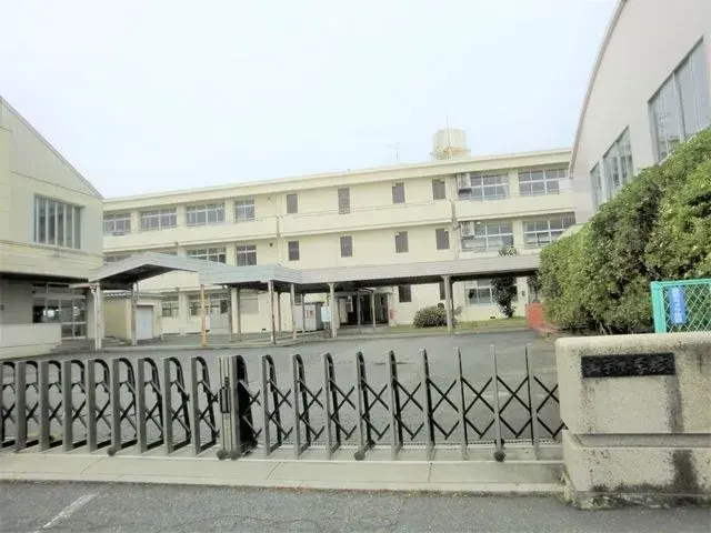 Slide 8