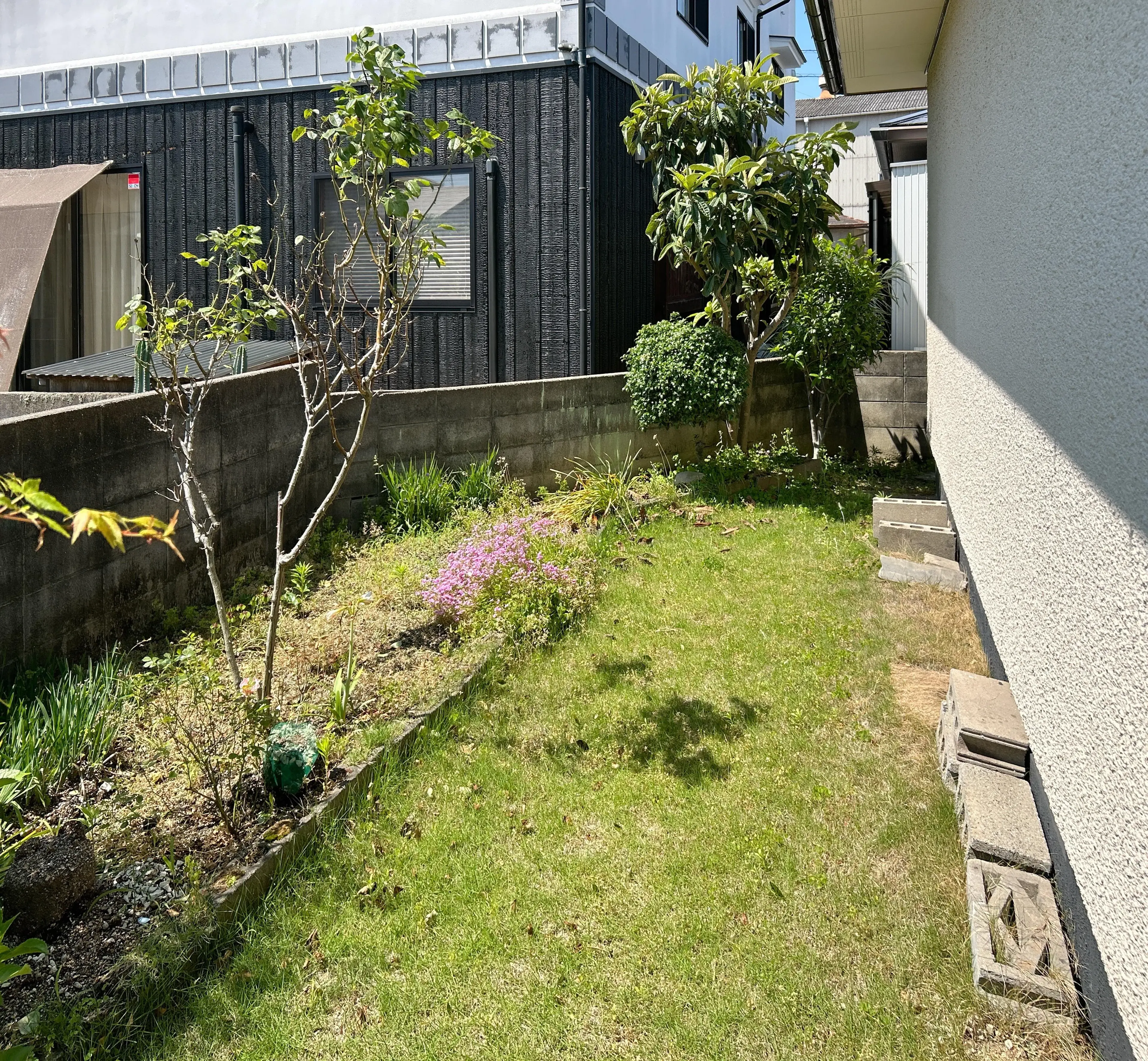Slide 4