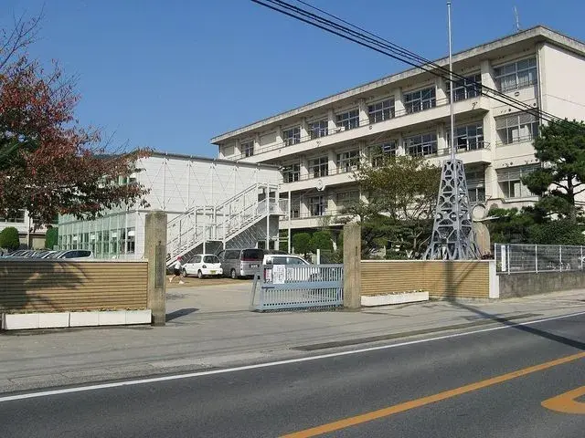 Slide 6