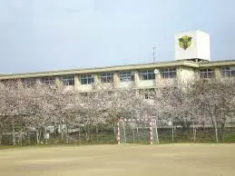 Slide 23