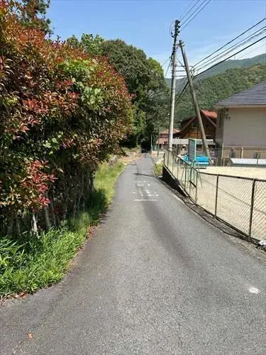 Slide 6