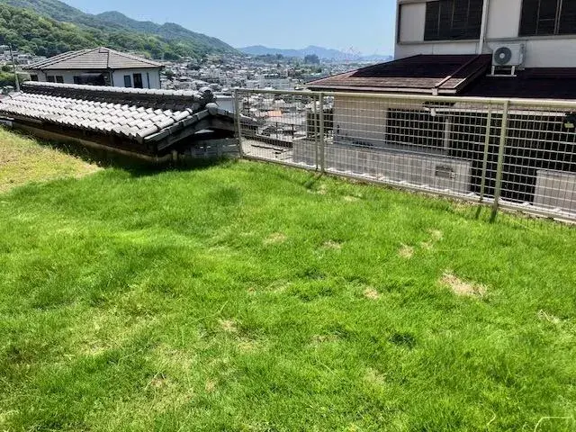 Slide 4