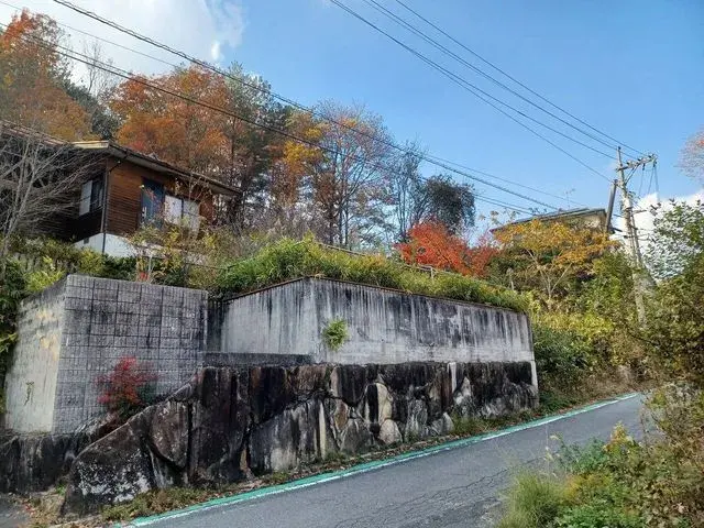 Slide 1