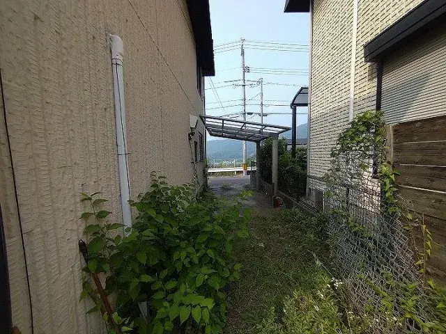 Slide 6