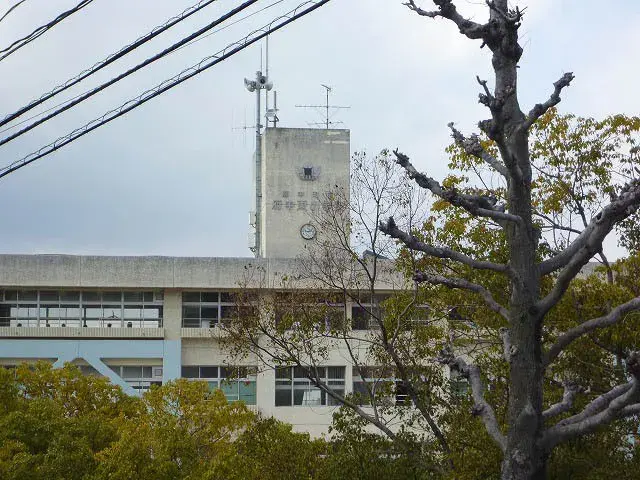 Slide 20