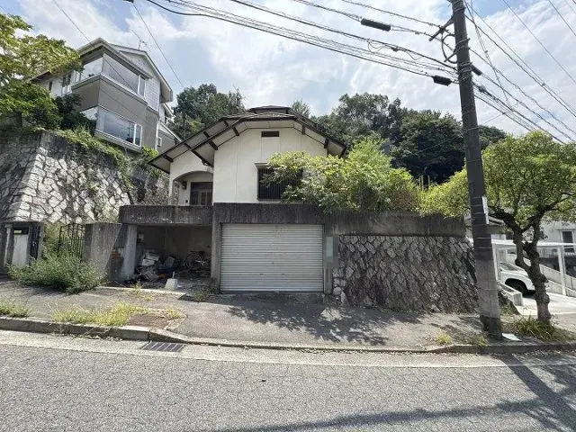 Slide 7