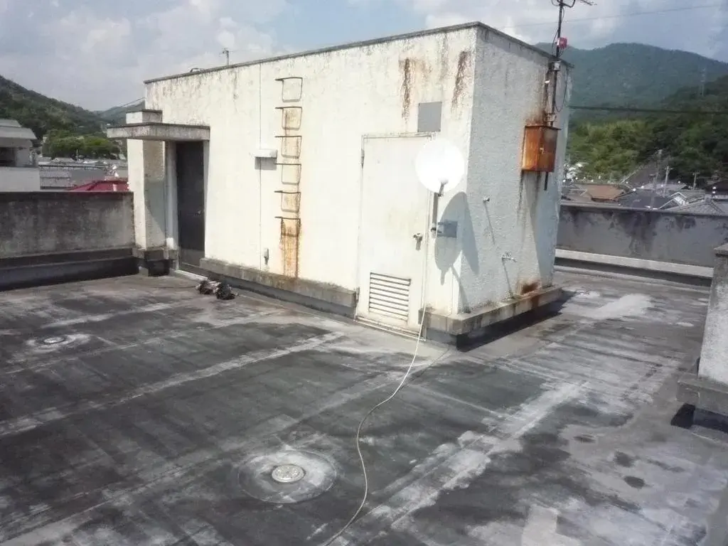 Slide 1