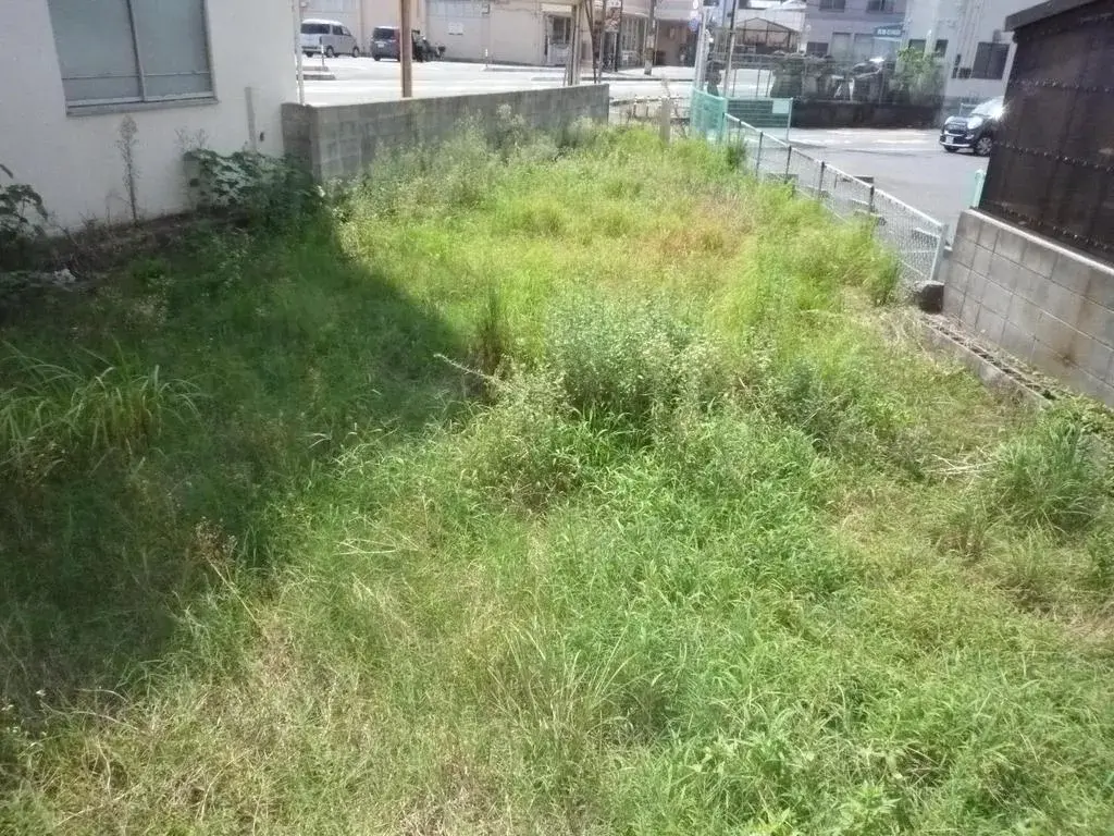 Slide 2