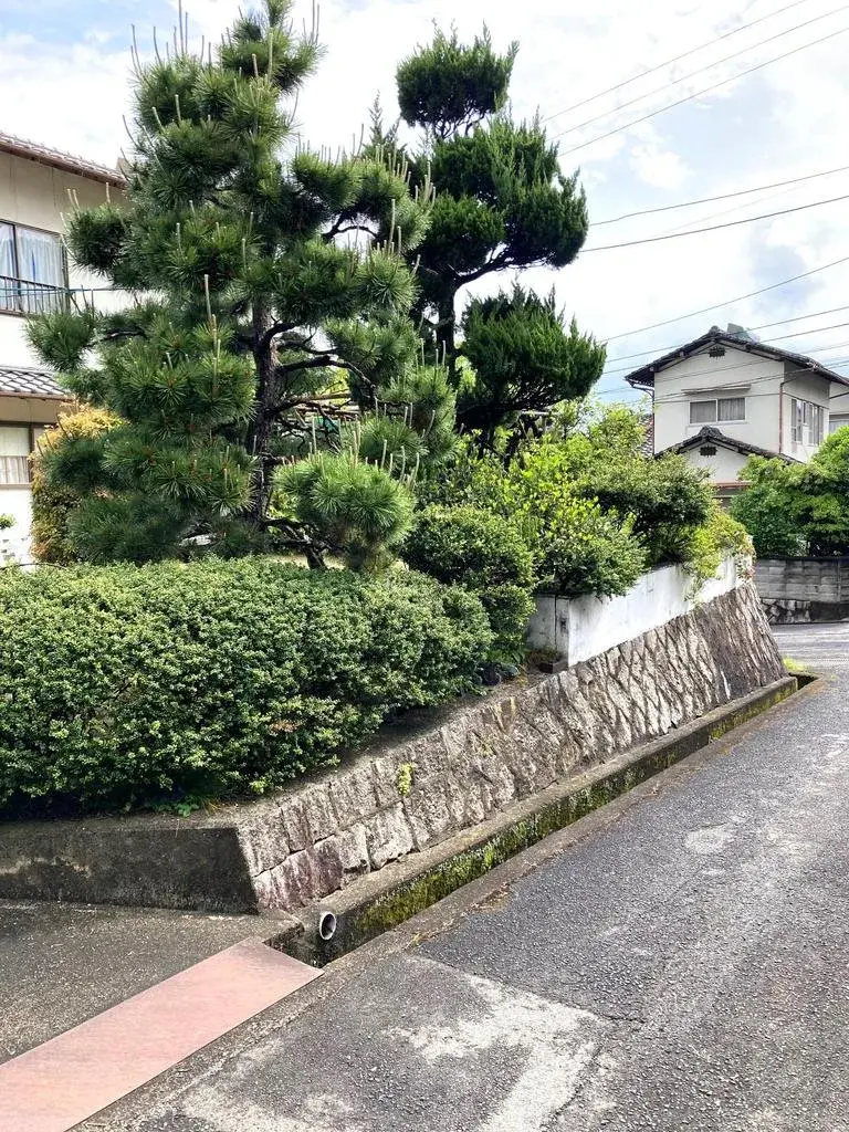 Slide 3