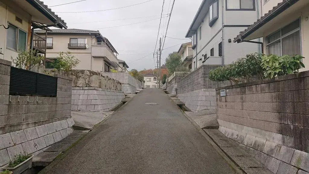 Slide 6