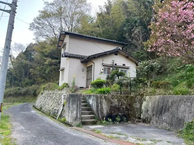 Slide 0