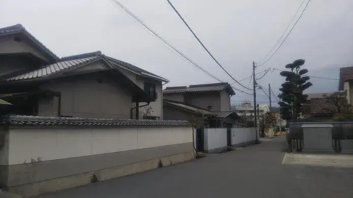 Slide 8