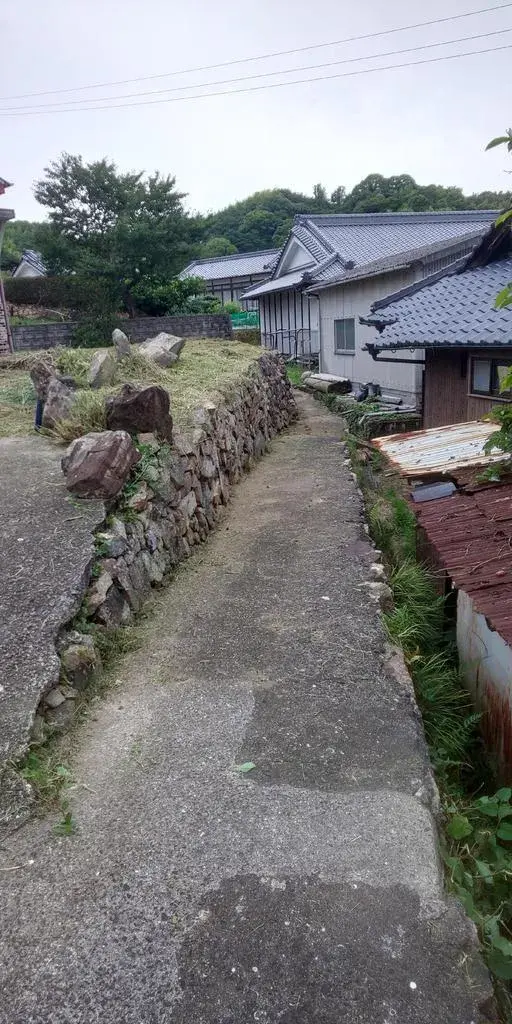 Slide 3