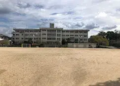 Slide 25
