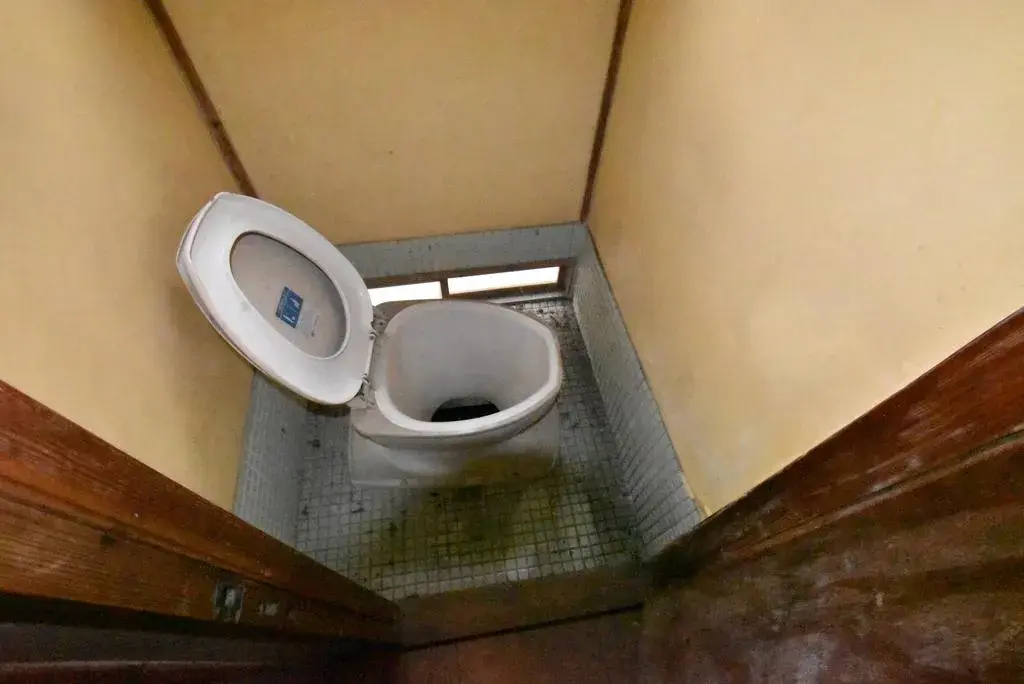 Slide 9