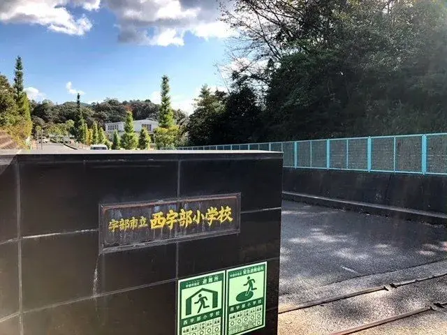 Slide 5