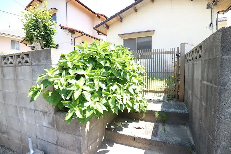 Slide 4