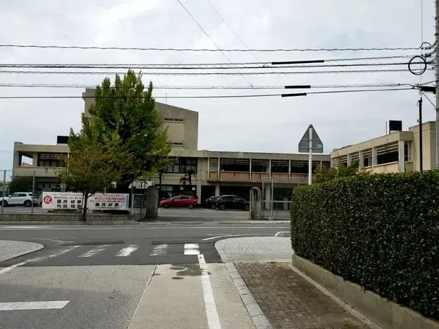 Slide 11