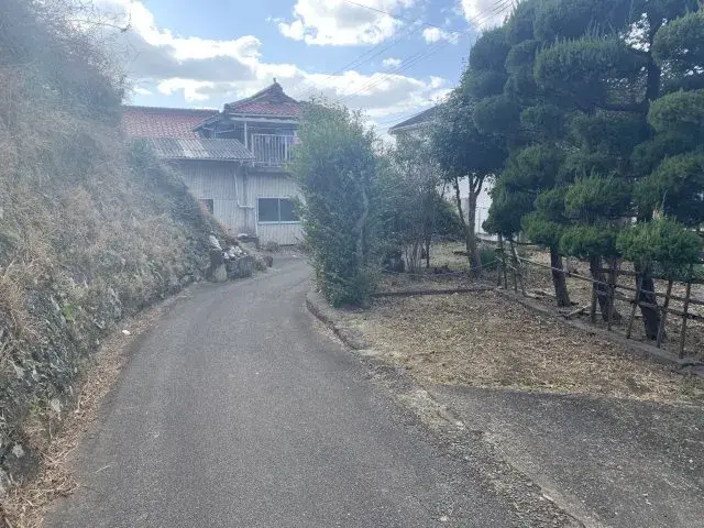 Slide 5