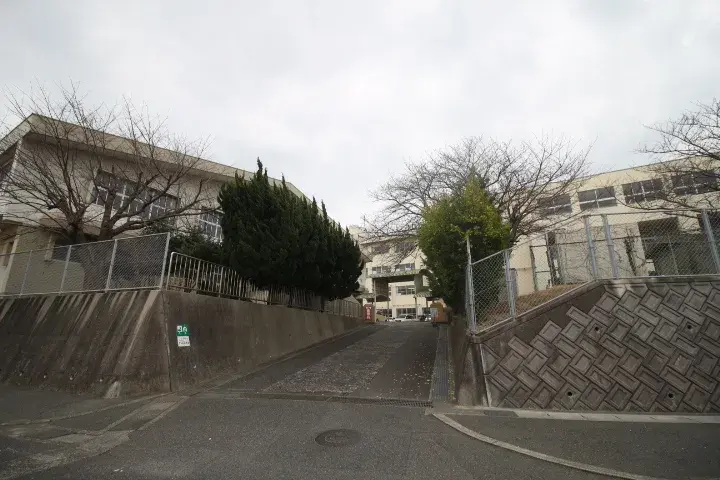 Slide 8
