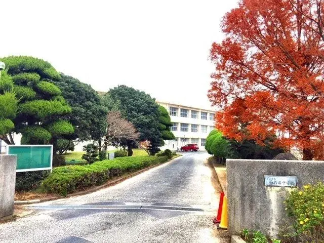 Slide 4