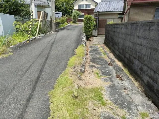 Slide 5