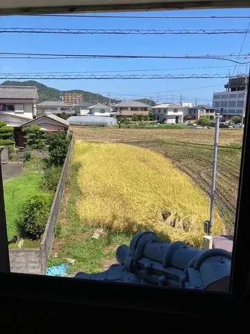 Slide 0