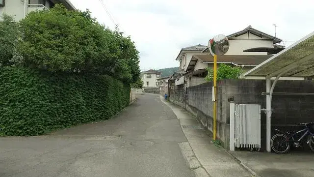 Slide 6