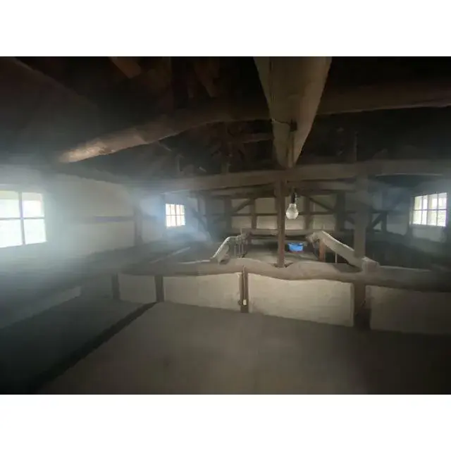 Slide 6